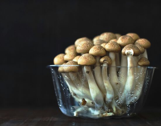 how do you start a mushroom culture?